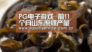 pg电子