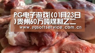 PG电子游戏|(01月23日)贵州60万吨煤制乙二醇签约