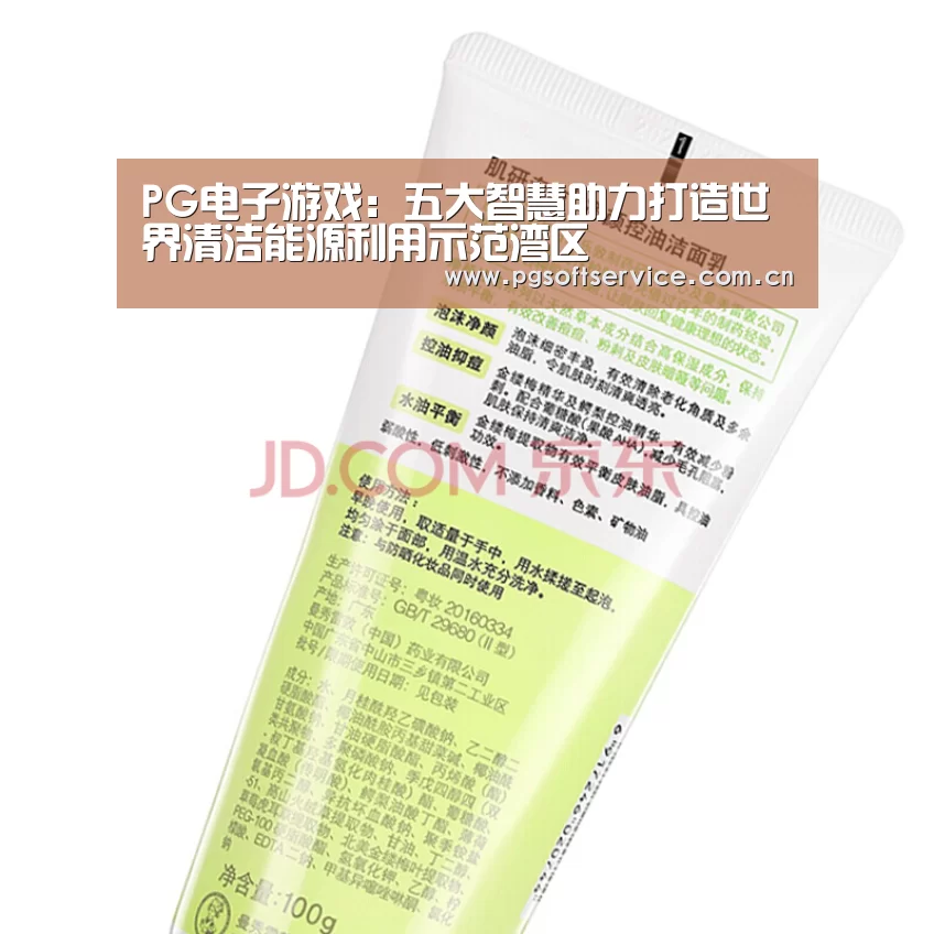 PG电子游戏:五大智慧助力打造世界清洁能源利用示范湾区(图1) pg电子官方入口