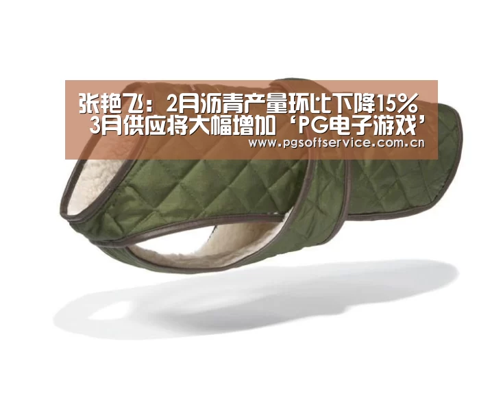 张艳飞：2月沥青产量环比下降15%　3月供应将大幅增加‘PG
