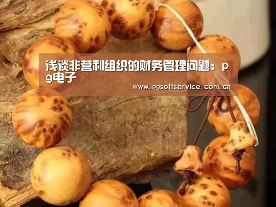 浅谈非营利组织的财务管理问题:pg电子(图1) PG电子游戏