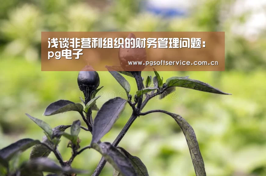 浅谈非营利组织的财务管理问题:pg电子(图3) PG电子游戏
