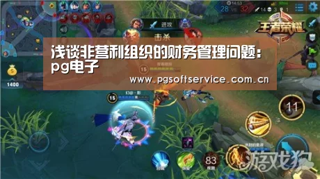 浅谈非营利组织的财务管理问题:pg电子(图2) pg电子官方入口