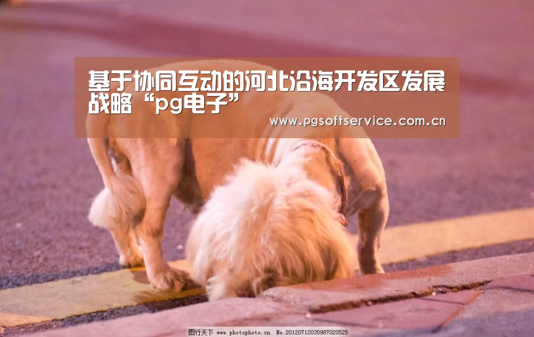 基于协同互动的河北沿海开发区发展战略“pg电子”(图1) pg电子
