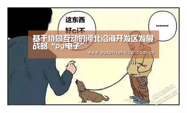 基于协同互动的河北沿海开发区发展战略“pg电子”(图2) pg电子官方入口