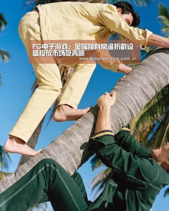 PG电子游戏:金属棒料常温折截设备投放市场受青睐(图3) pg电子官方入口