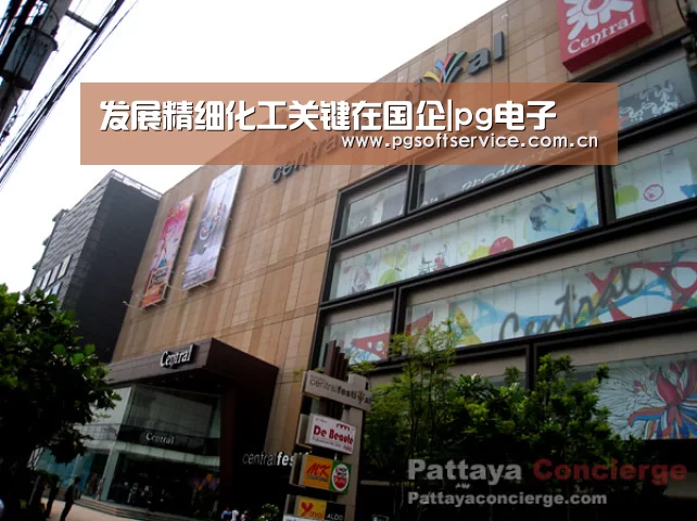 发展精细化工关键在国企|pg电子(图2) pg电子