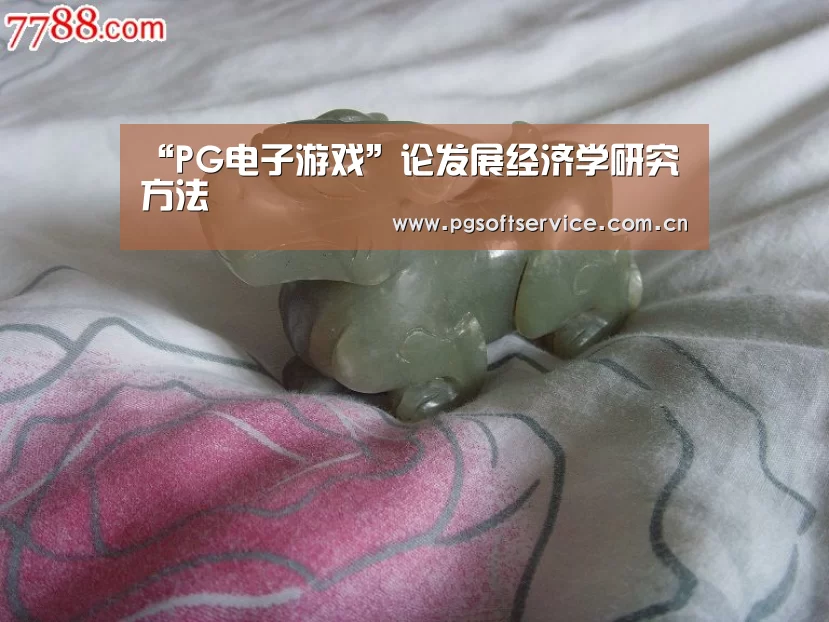 “PG电子游戏”论发展经济学研究方法(图3) pg电子官方入口