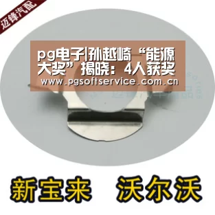 pg电子|孙越崎“能源大奖”揭晓：4人获奖油气煤炭平分秋色
